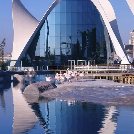 イビス バジェツト バレンシア アエロプエルト マニセス